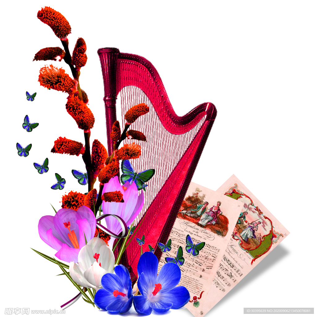 鲜花素材