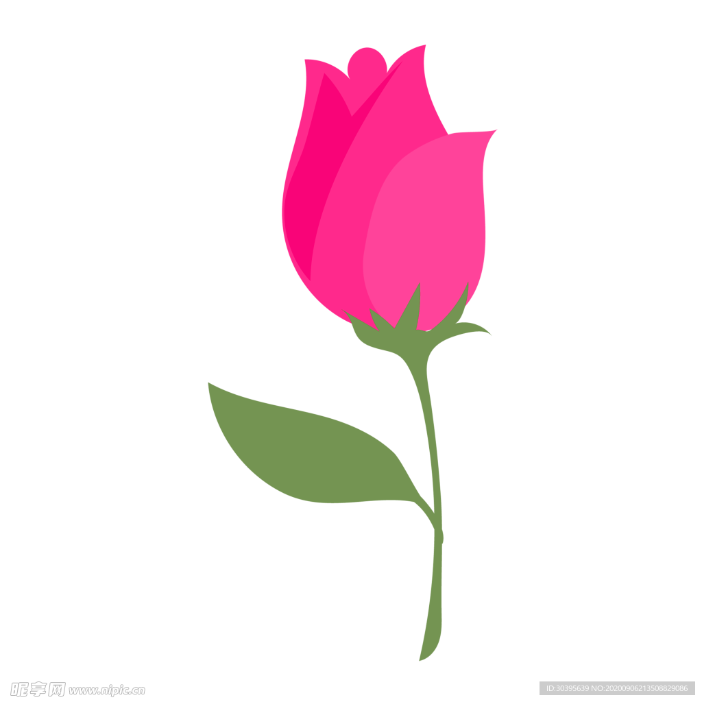 鲜花素材