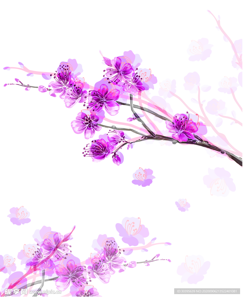 鲜花素材