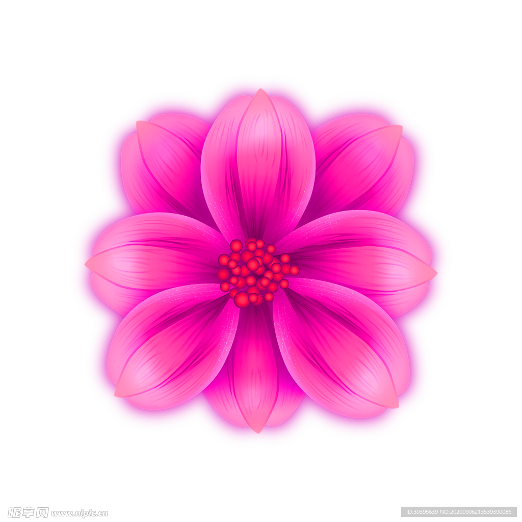 鲜花素材