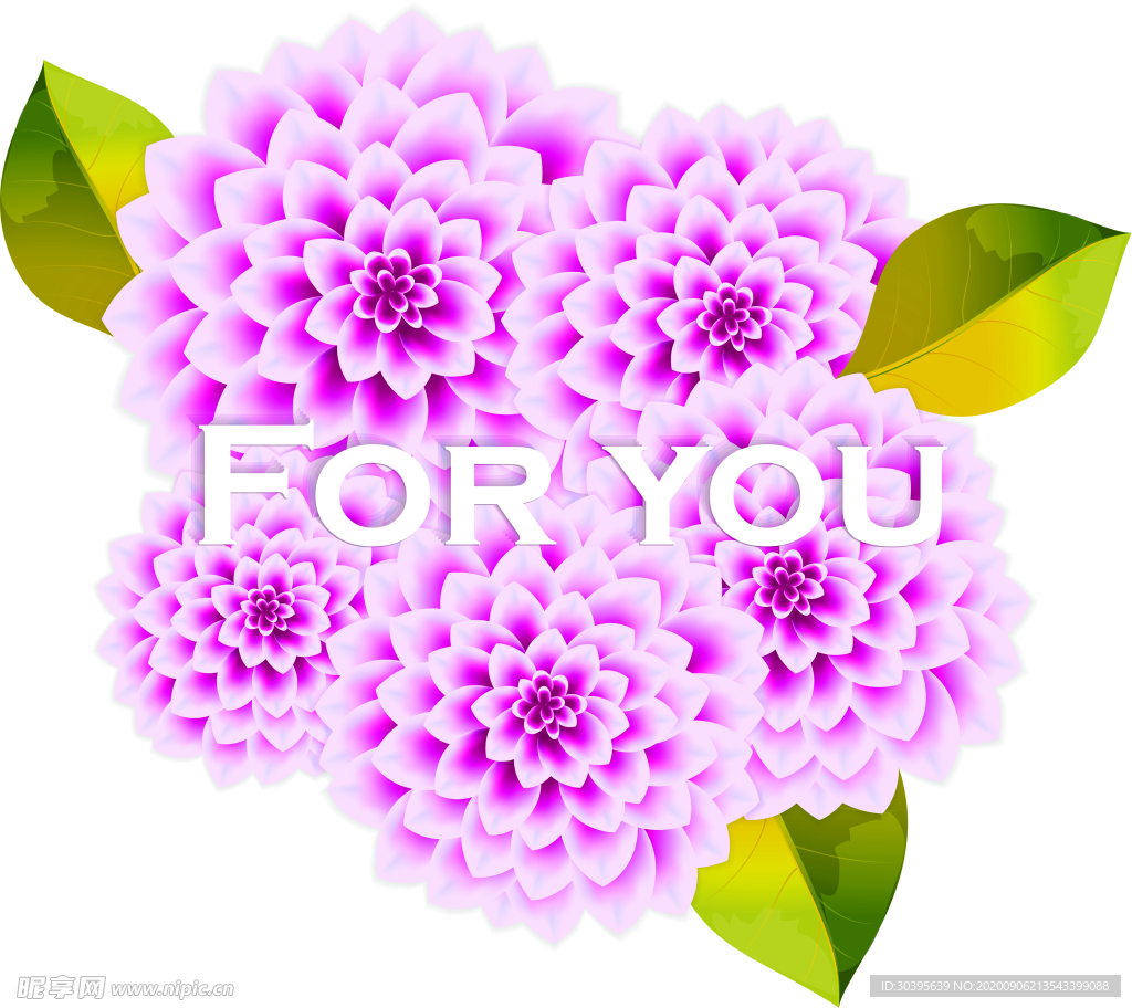 鲜花素材