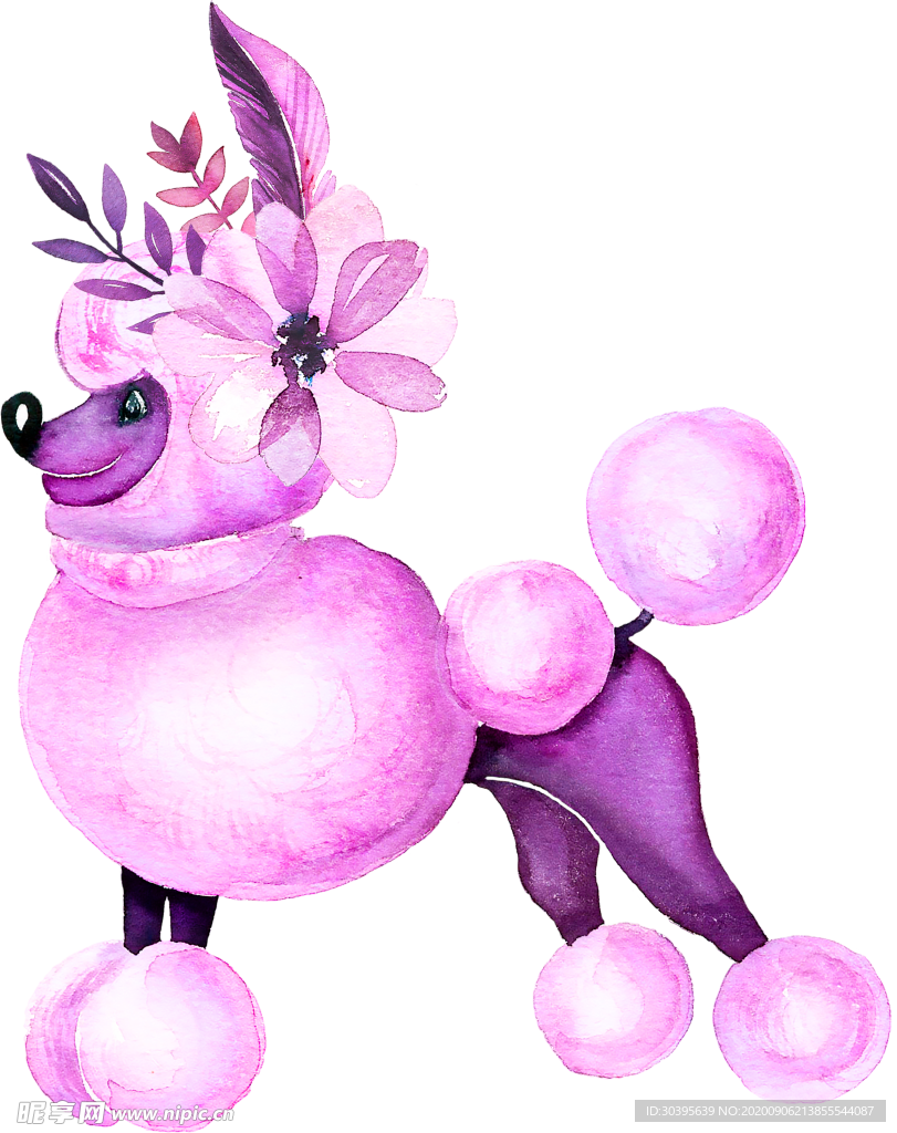 鲜花素材