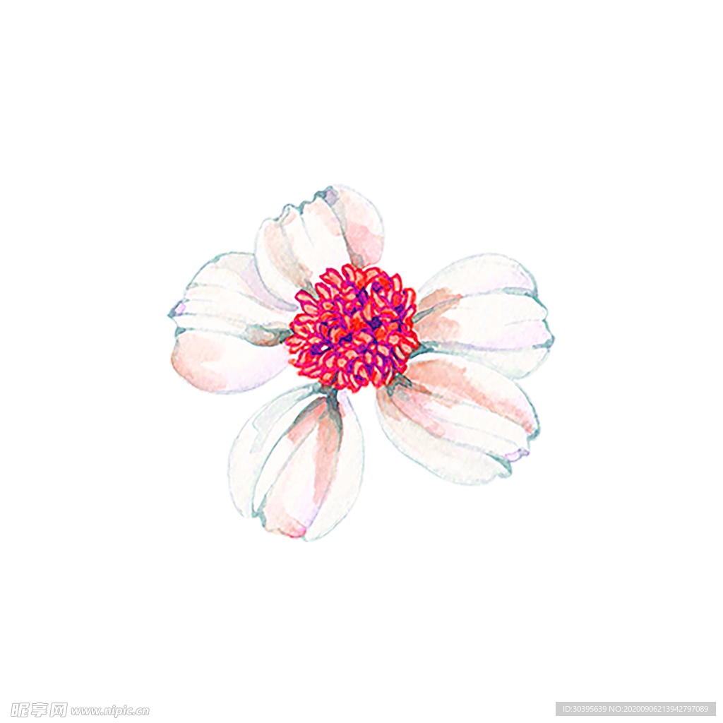 鲜花素材