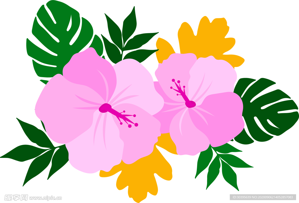 鲜花素材