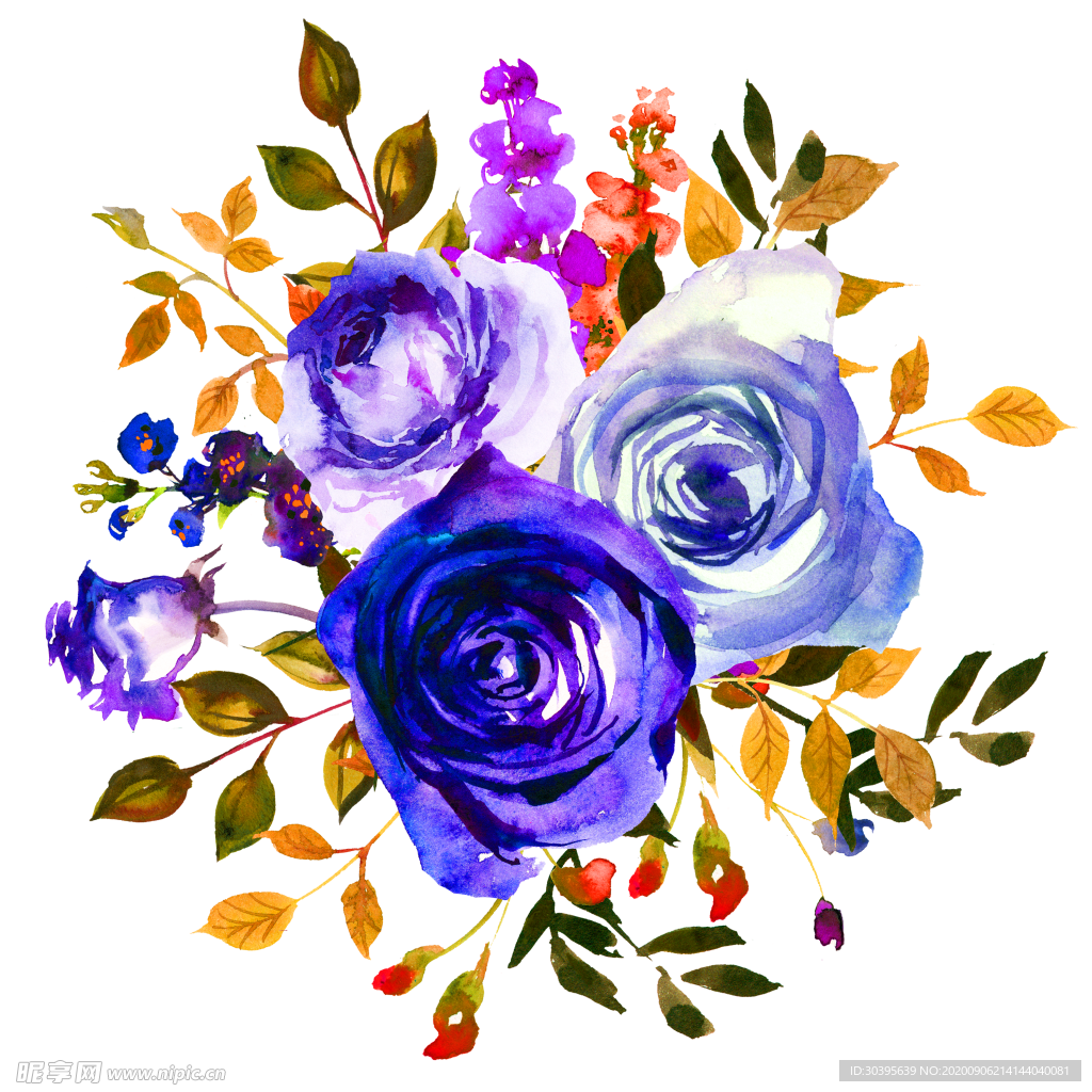 鲜花素材