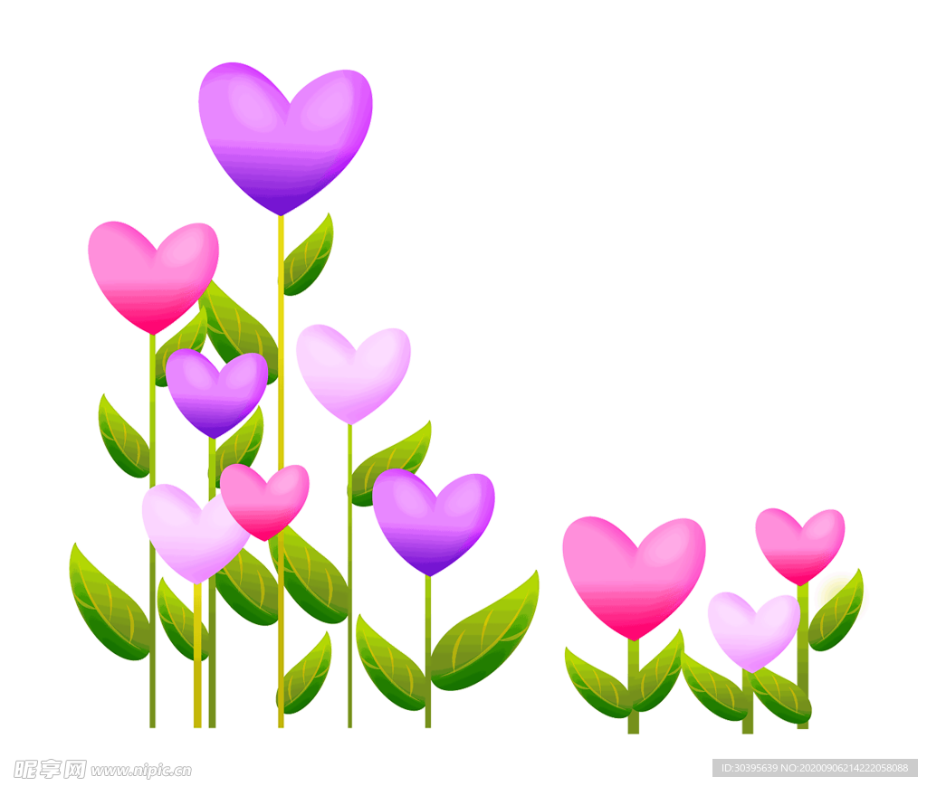 鲜花素材