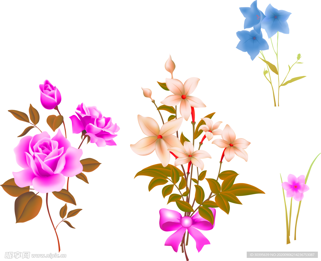 鲜花素材