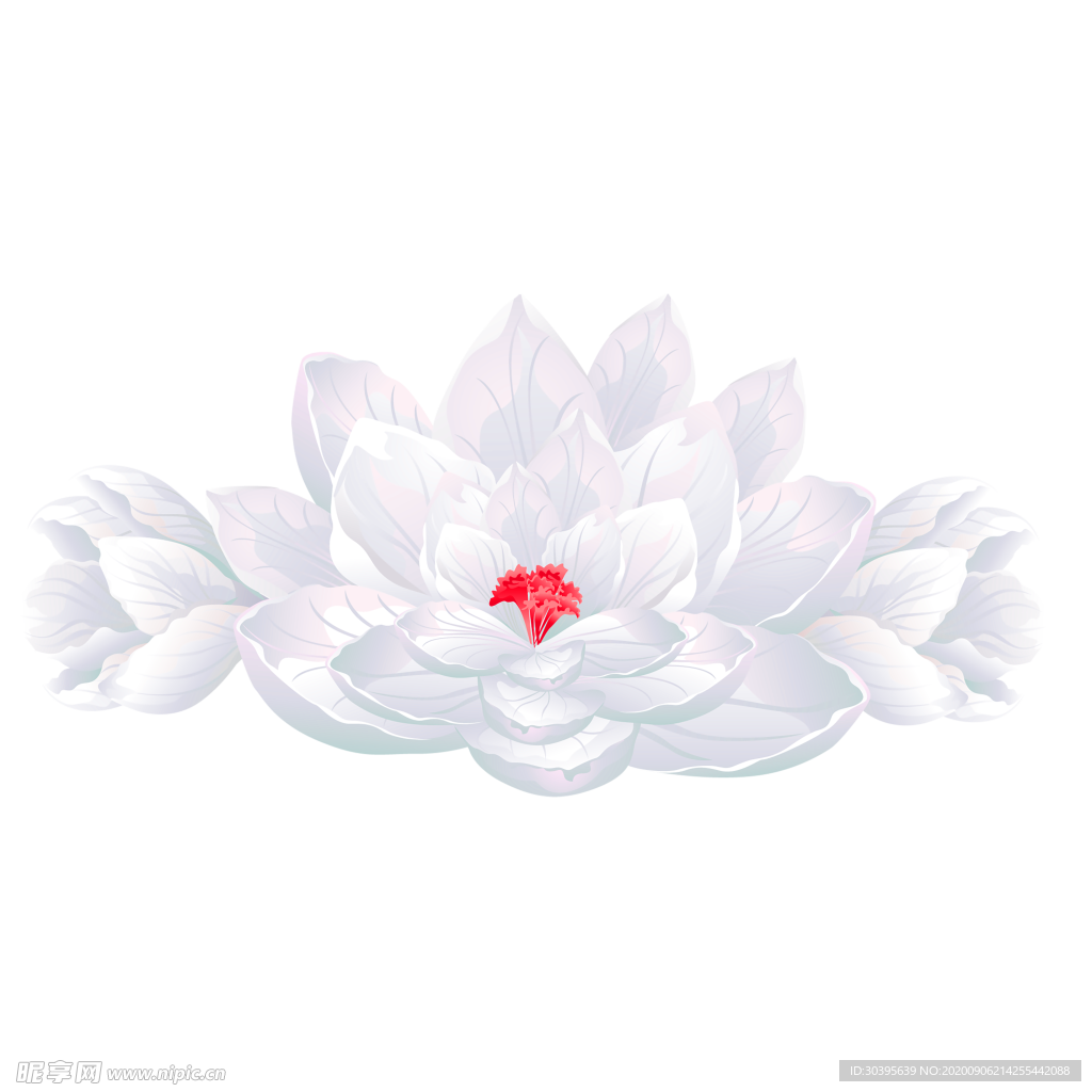 鲜花素材