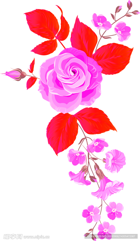 鲜花素材
