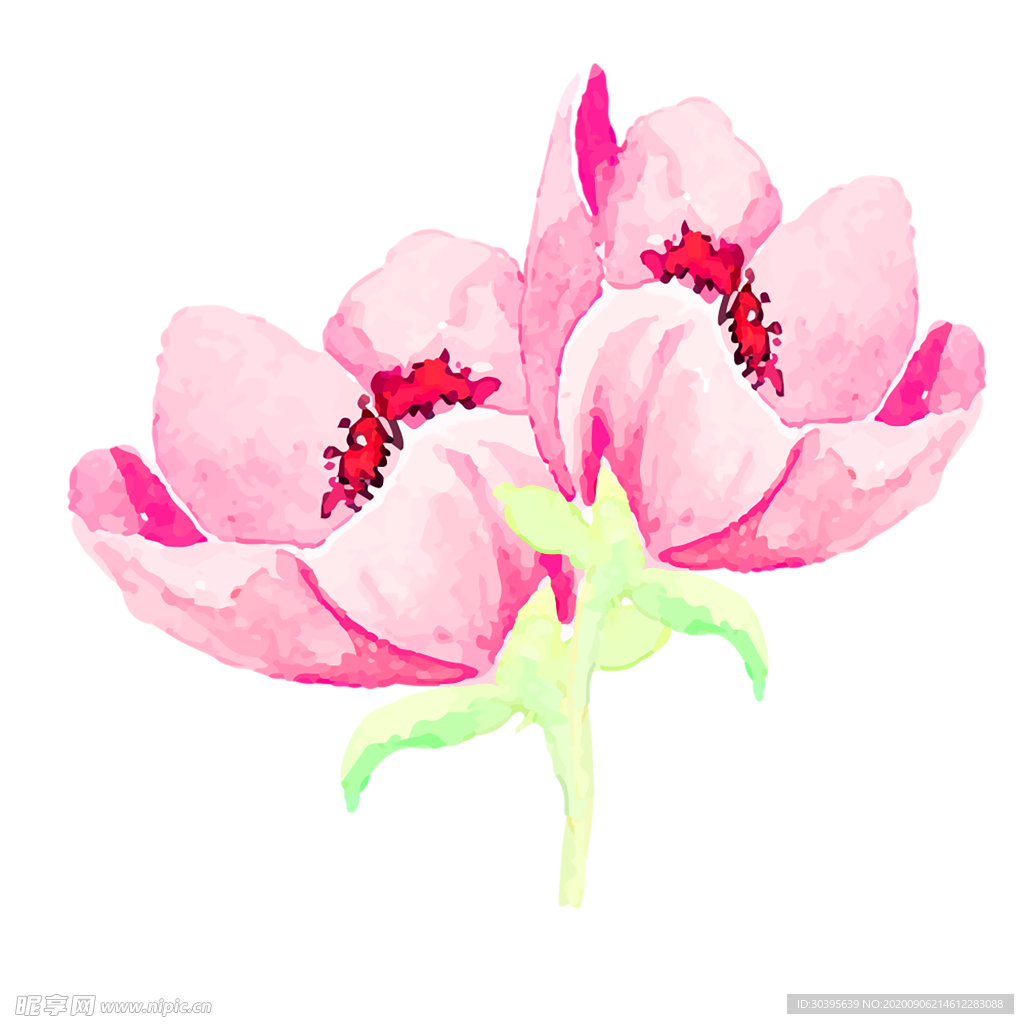 鲜花素材