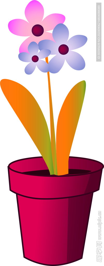 鲜花素材