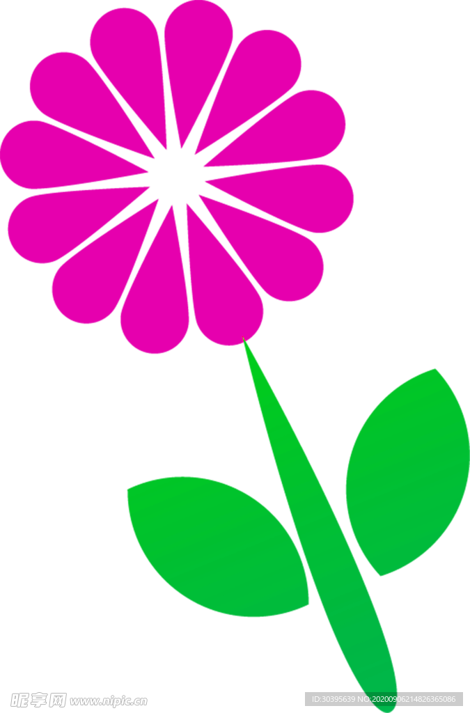鲜花素材