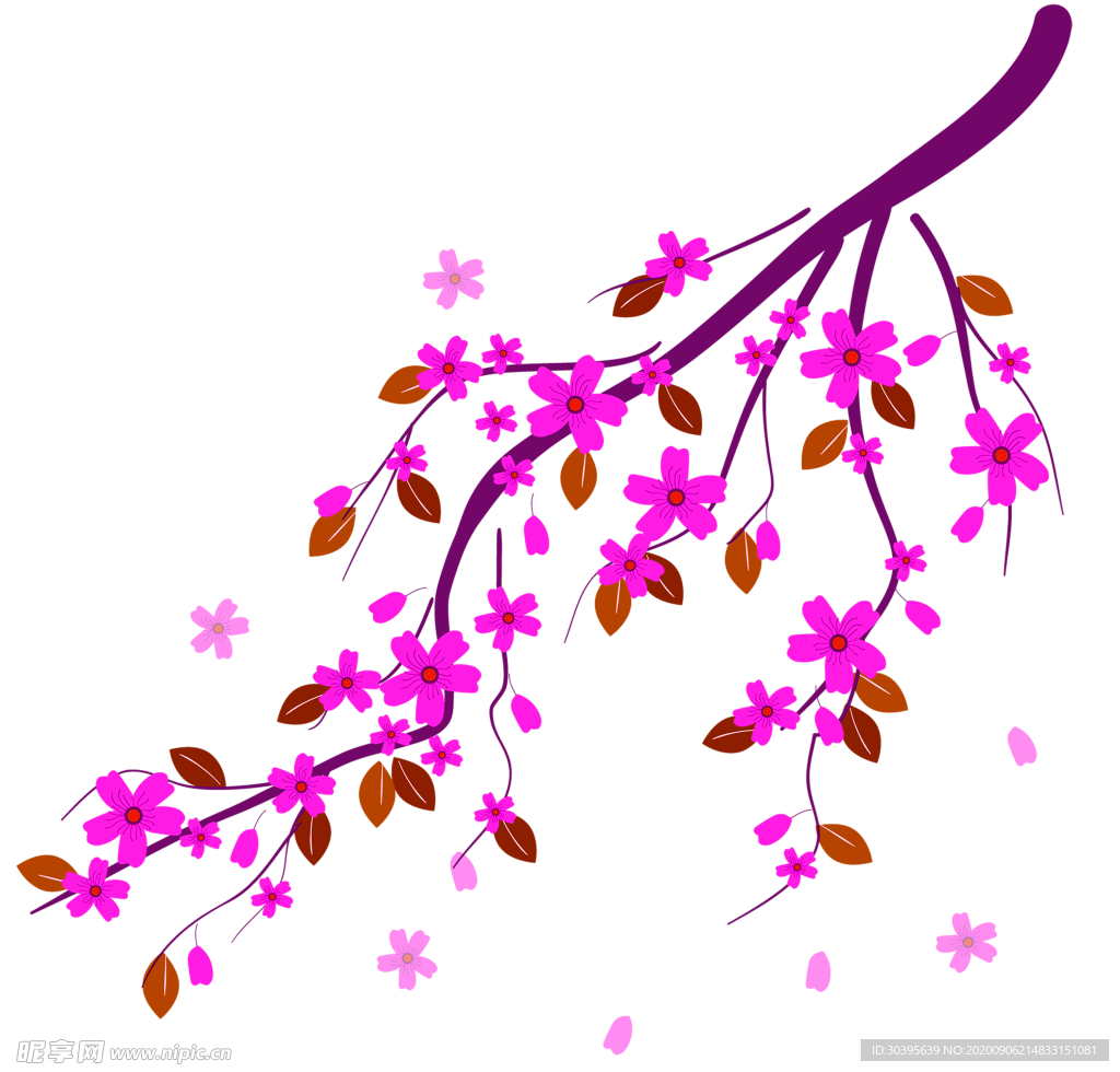 鲜花素材
