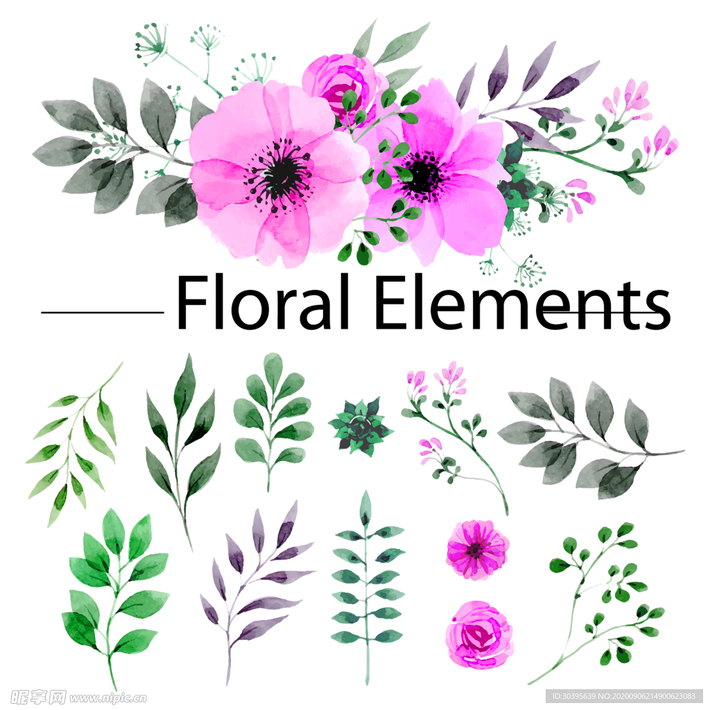 鲜花素材