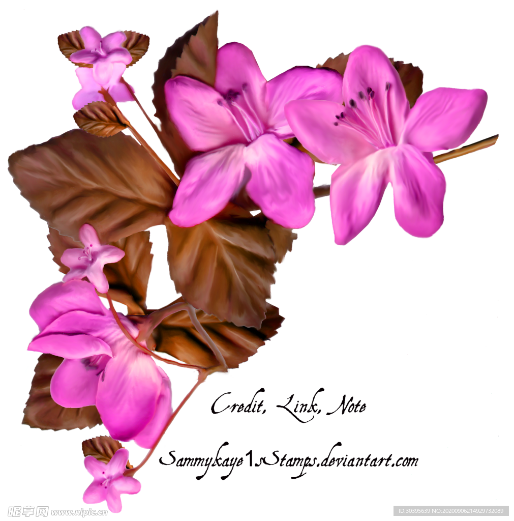 鲜花素材