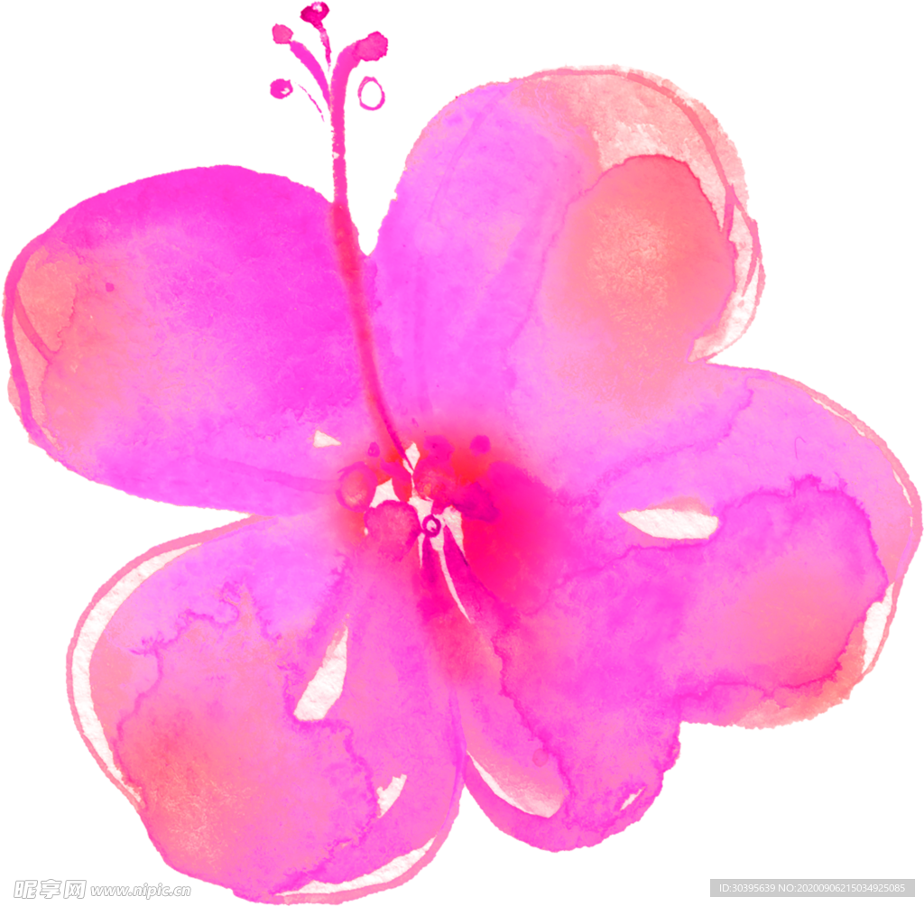 鲜花素材