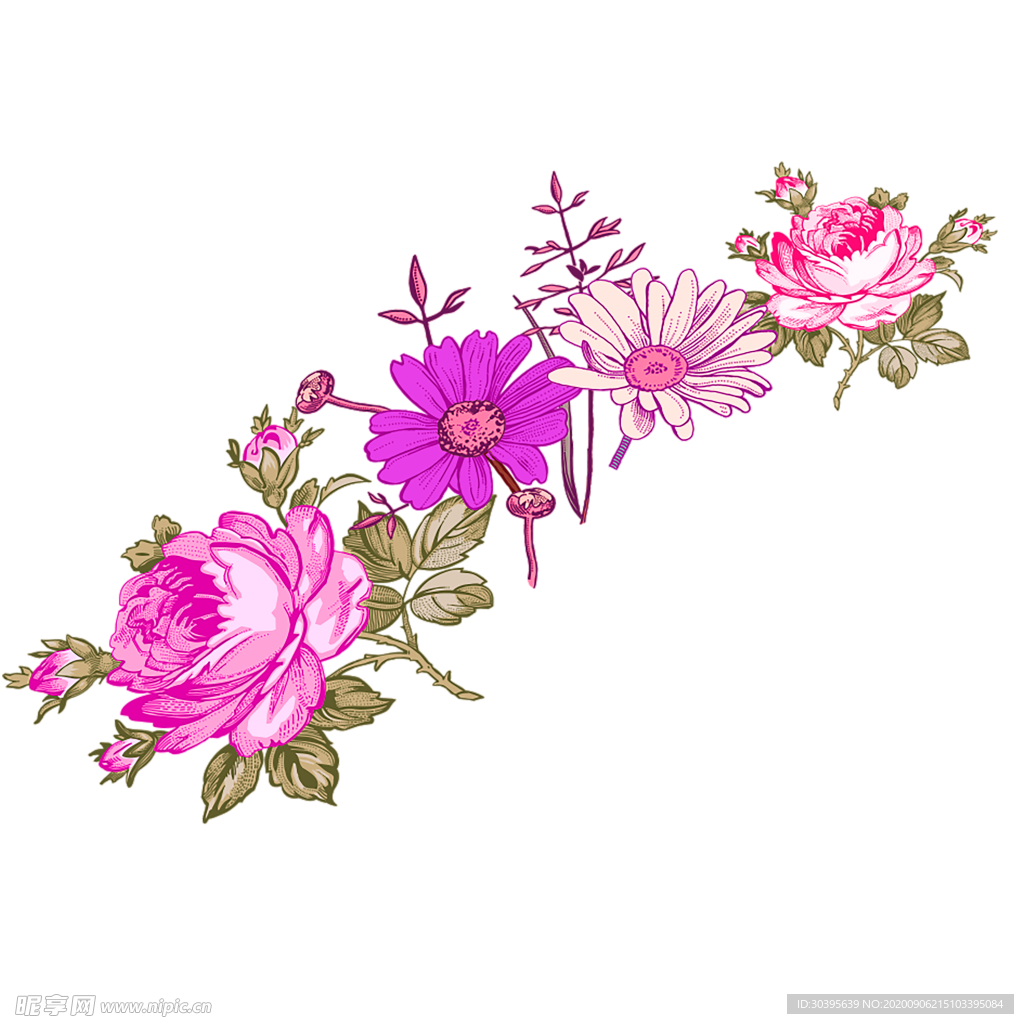 鲜花素材