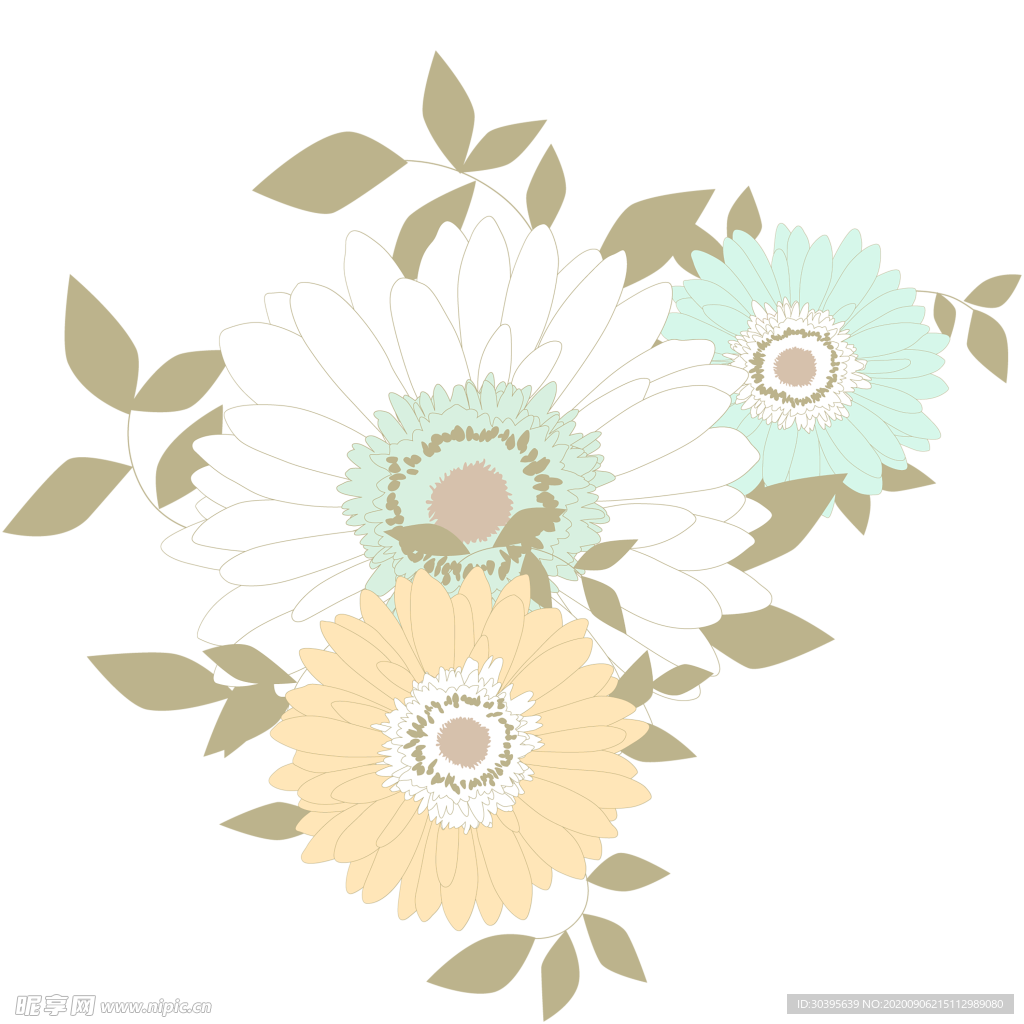 鲜花素材
