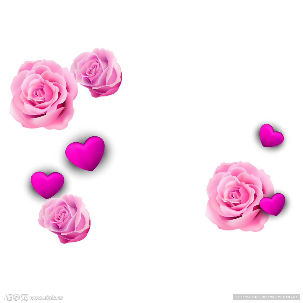 鲜花素材
