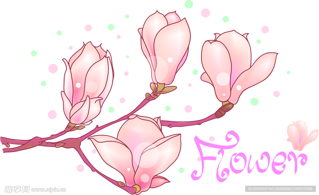 鲜花素材