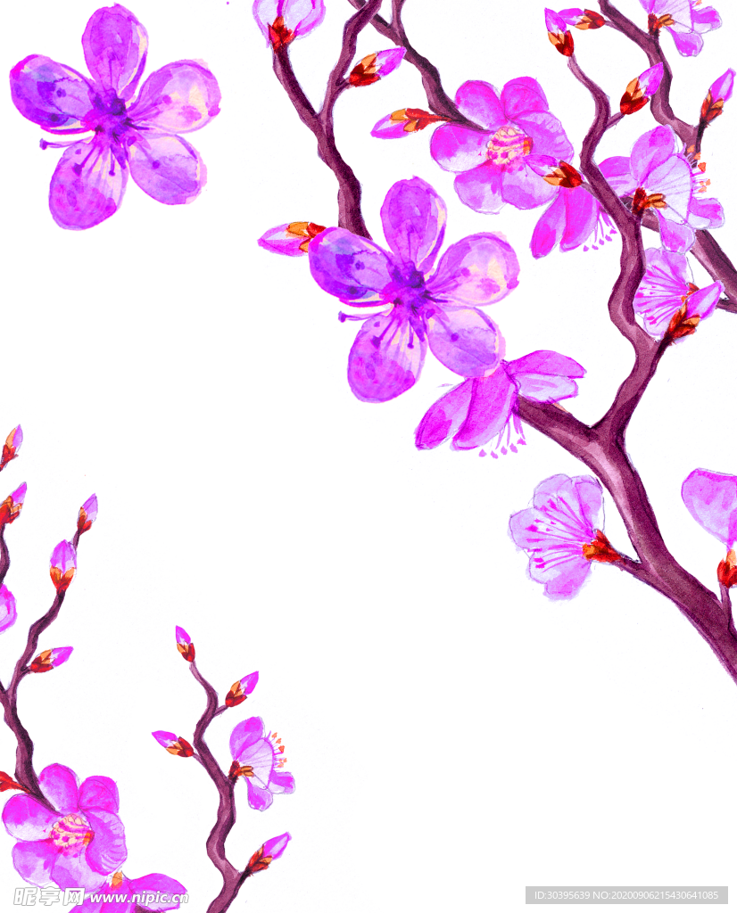 鲜花素材