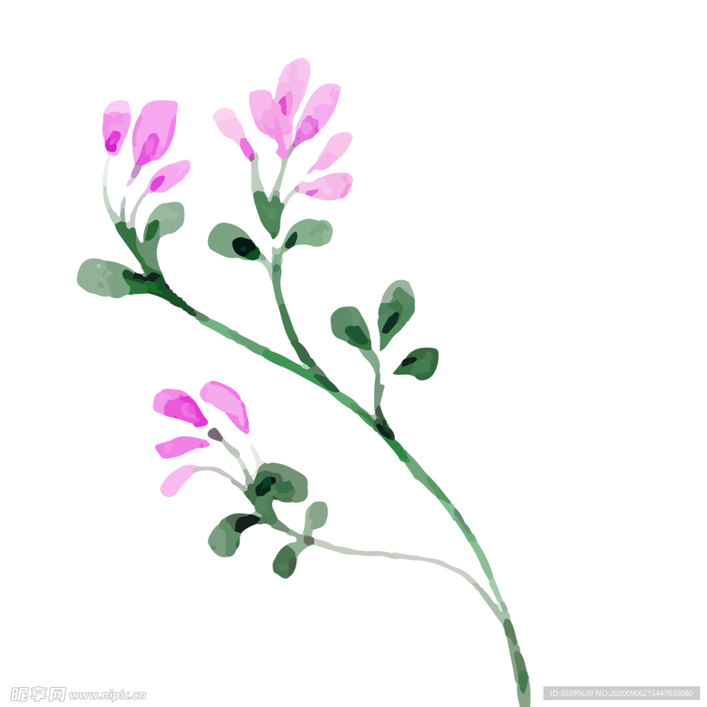鲜花素材