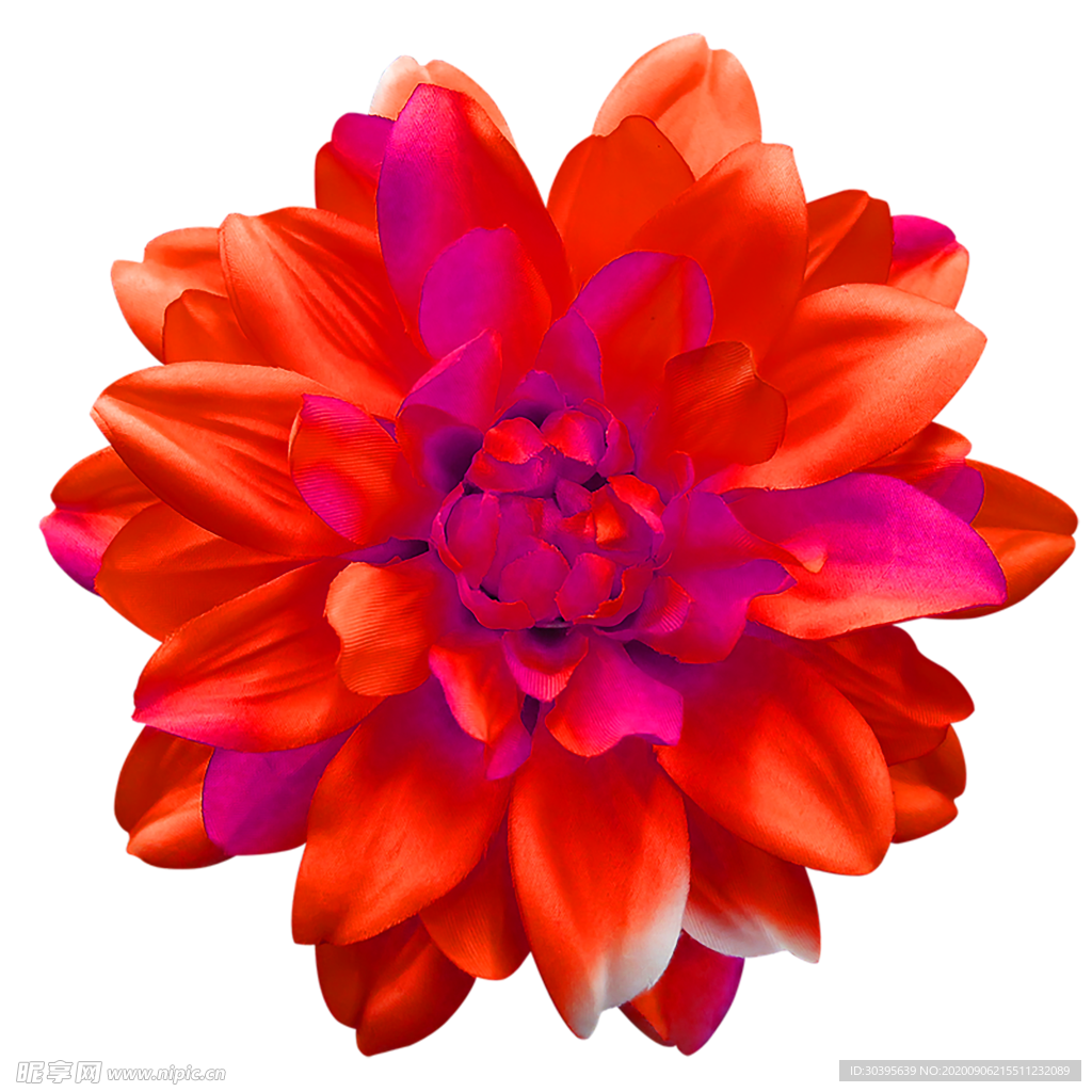 鲜花素材