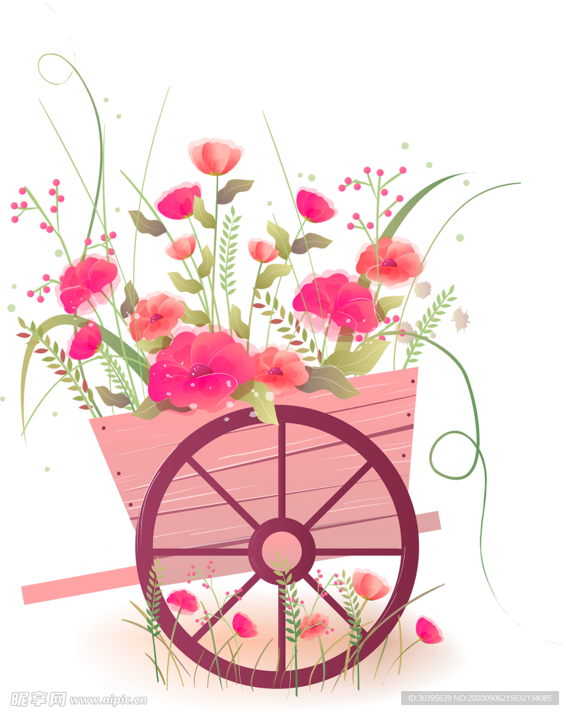 鲜花素材