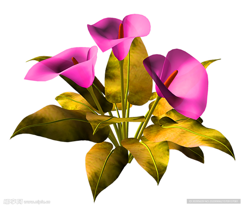 鲜花素材