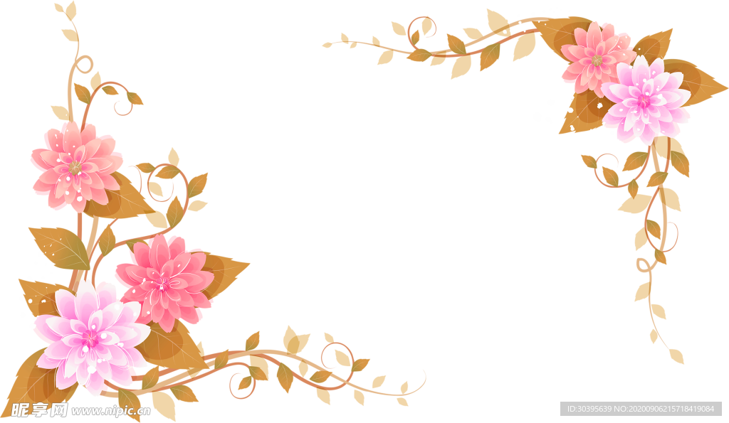 鲜花素材