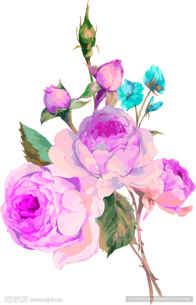 鲜花素材