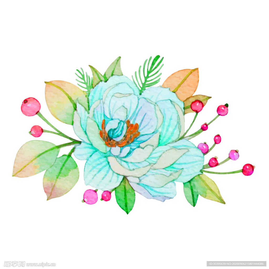 鲜花素材