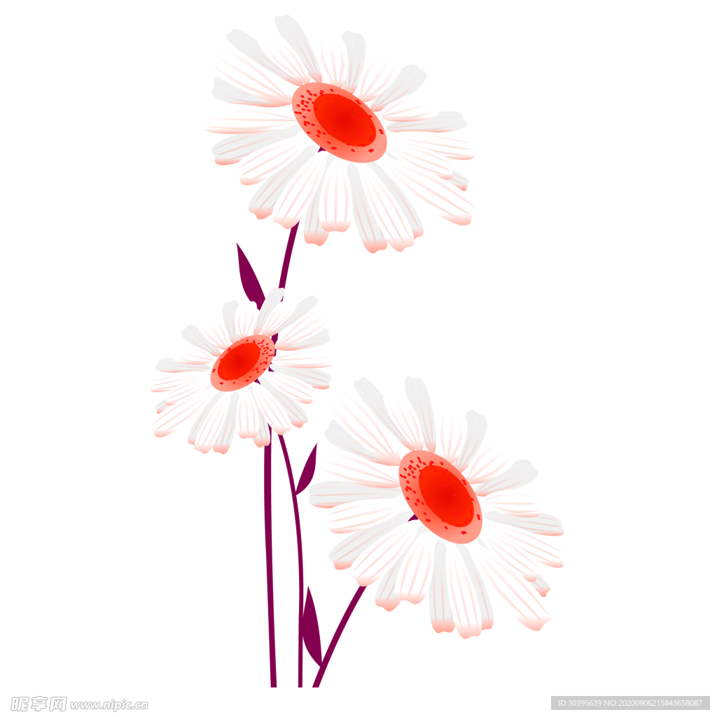 鲜花素材