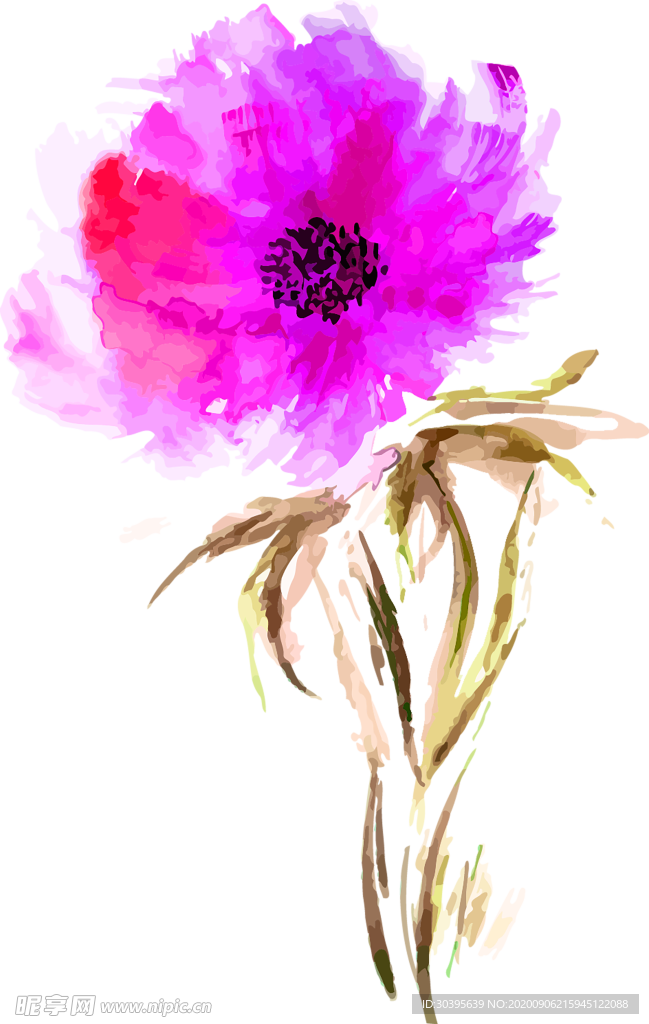 鲜花素材