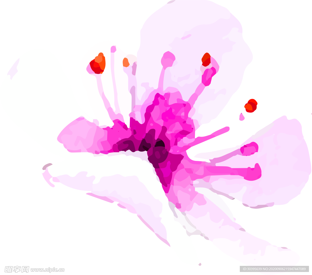 鲜花素材