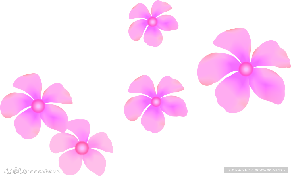 鲜花素材