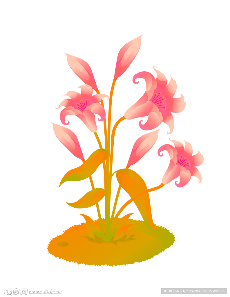 鲜花素材