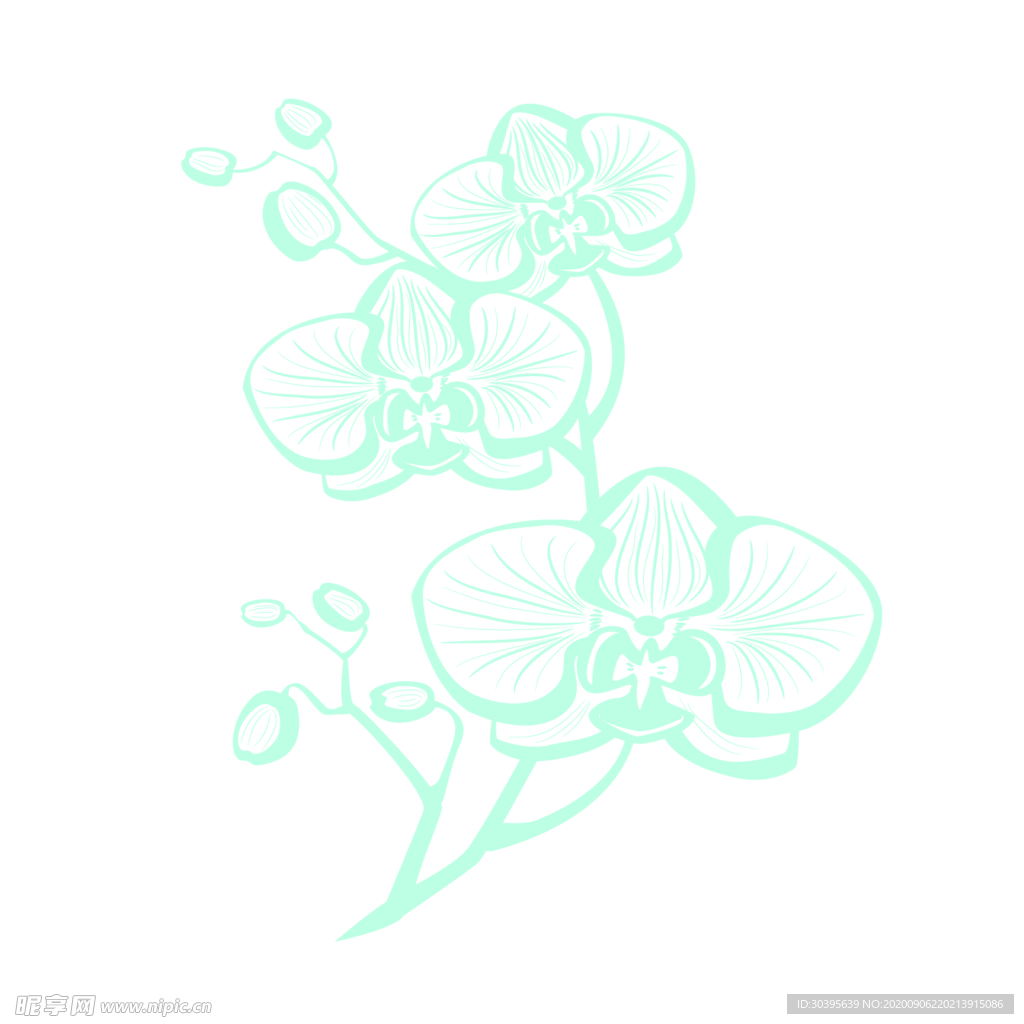 鲜花素材