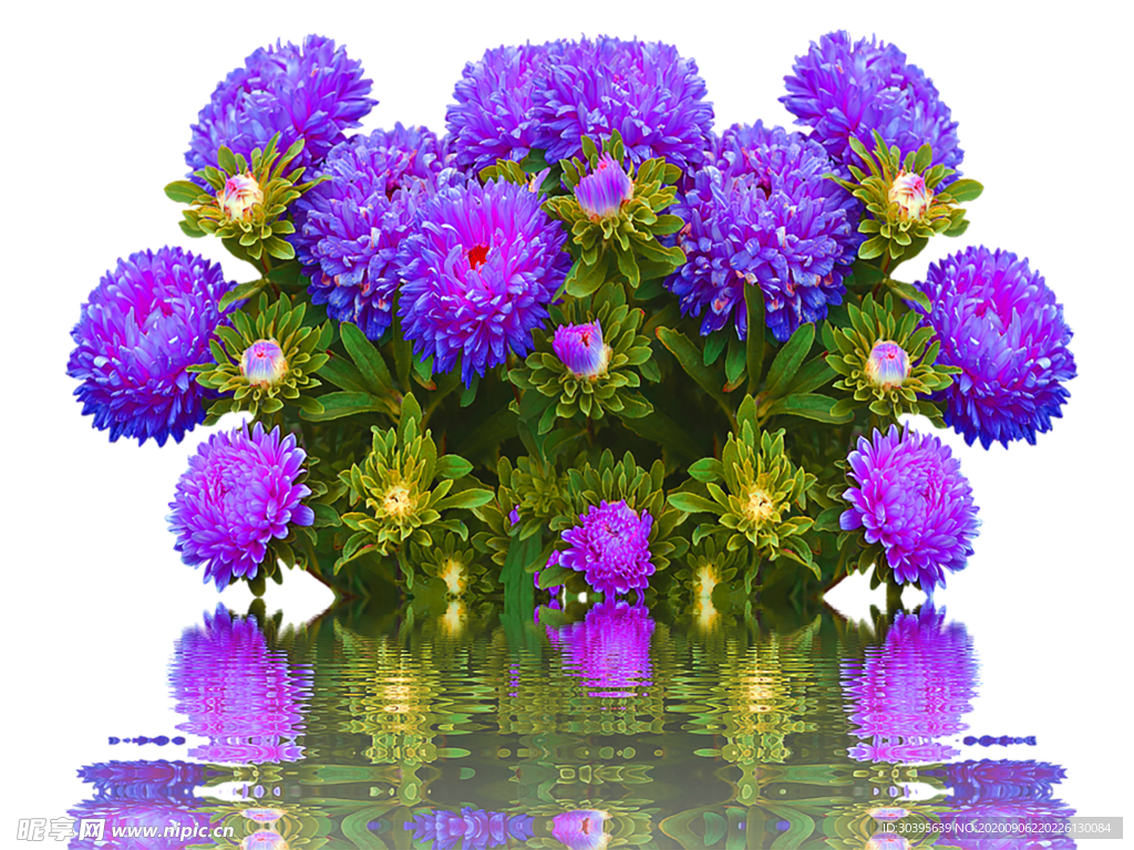 鲜花素材