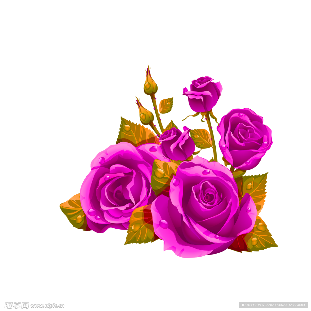 鲜花素材