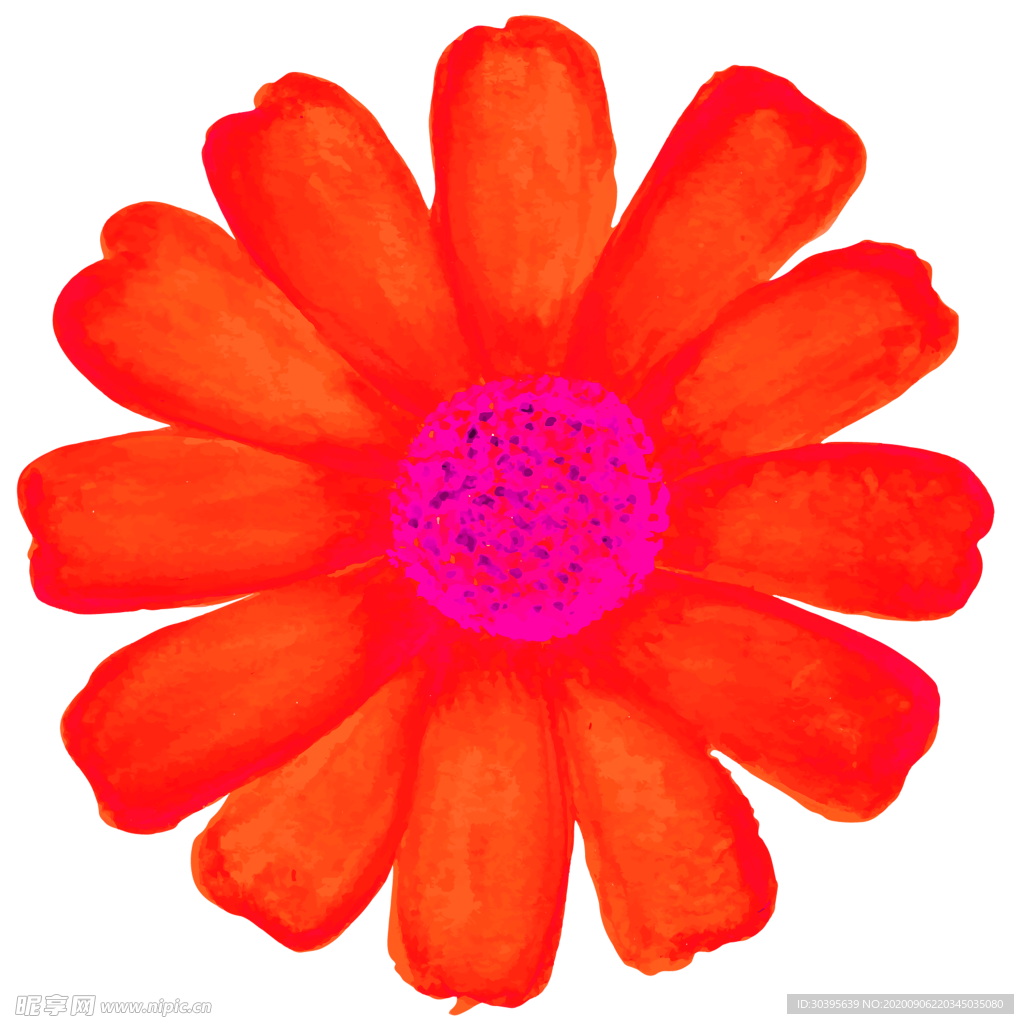 鲜花素材