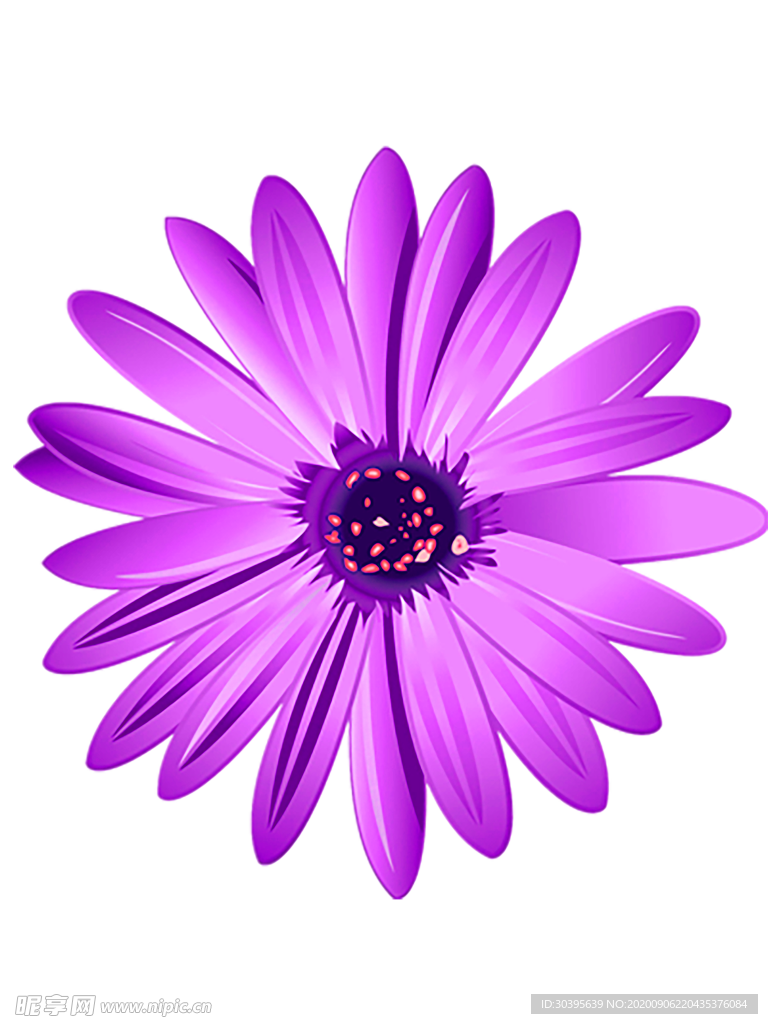 鲜花素材