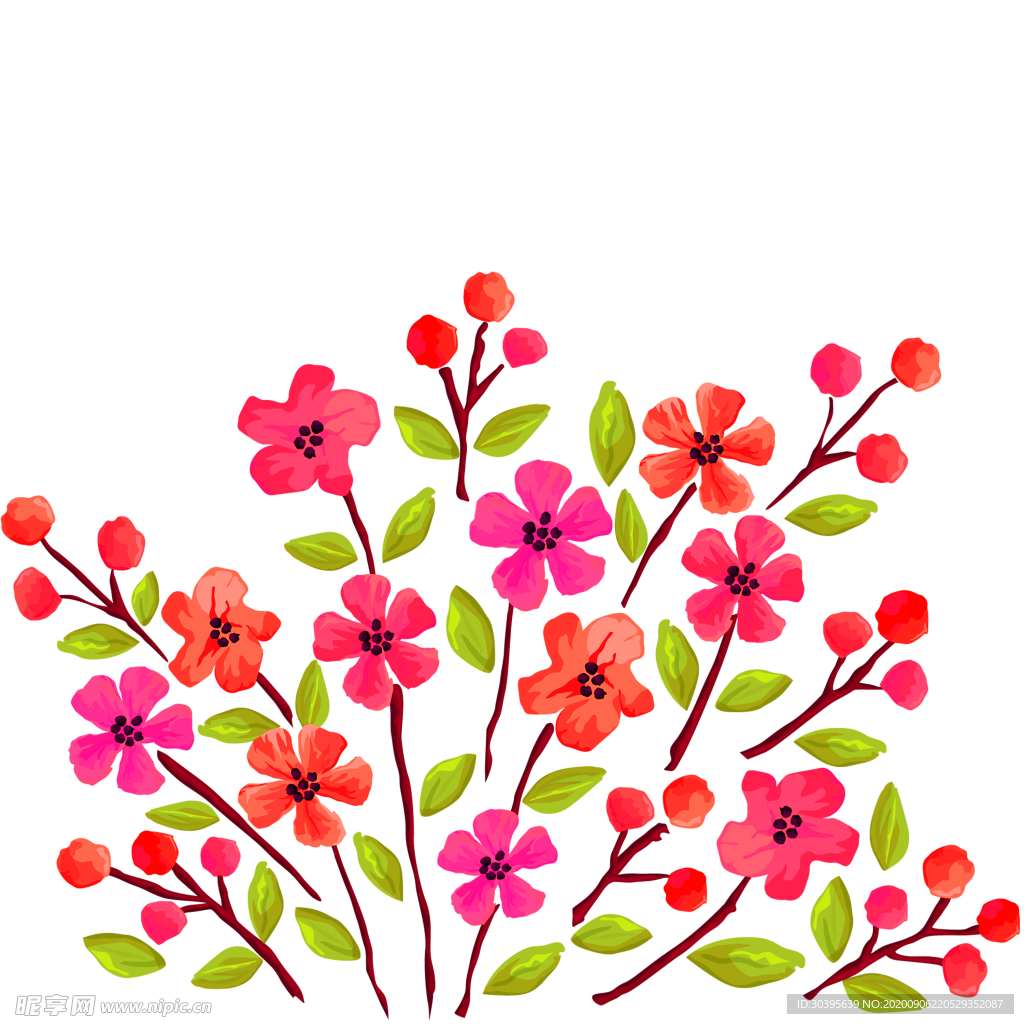 鲜花素材