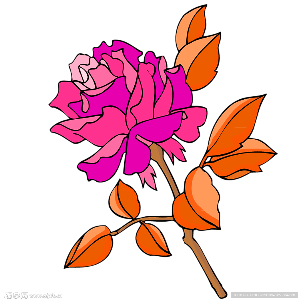 鲜花素材