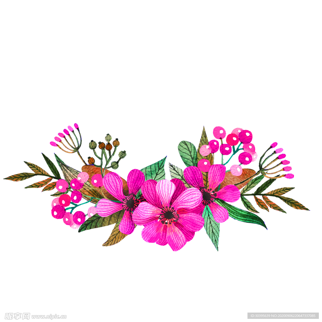 鲜花素材