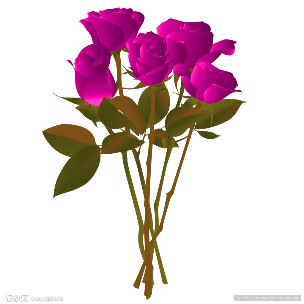 鲜花素材