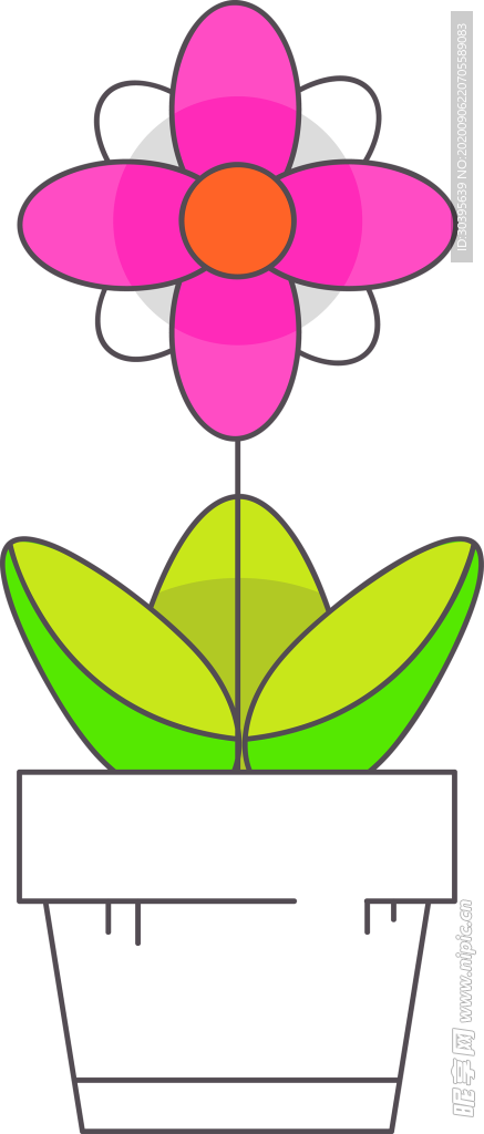 鲜花素材