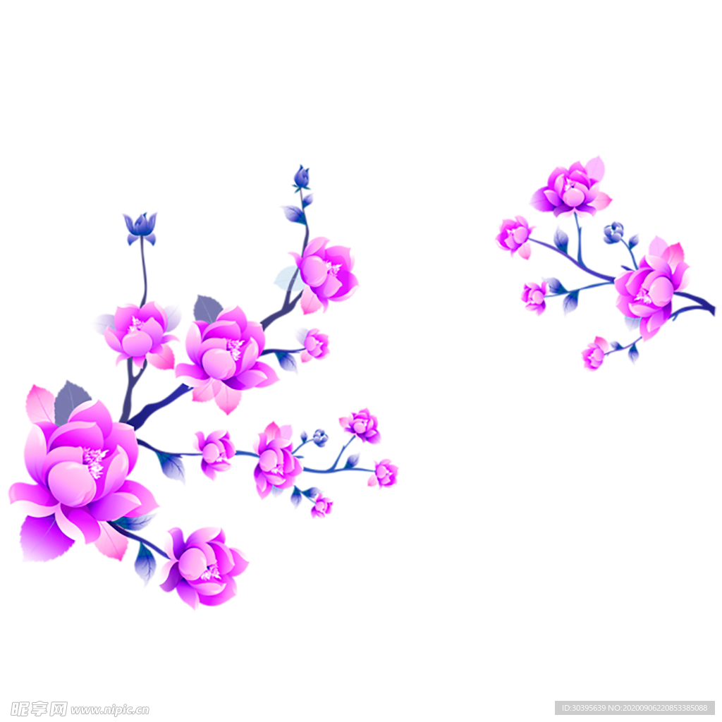 鲜花素材