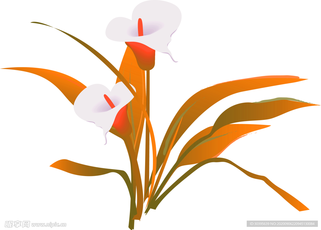 鲜花素材