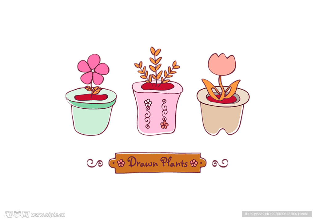 鲜花素材